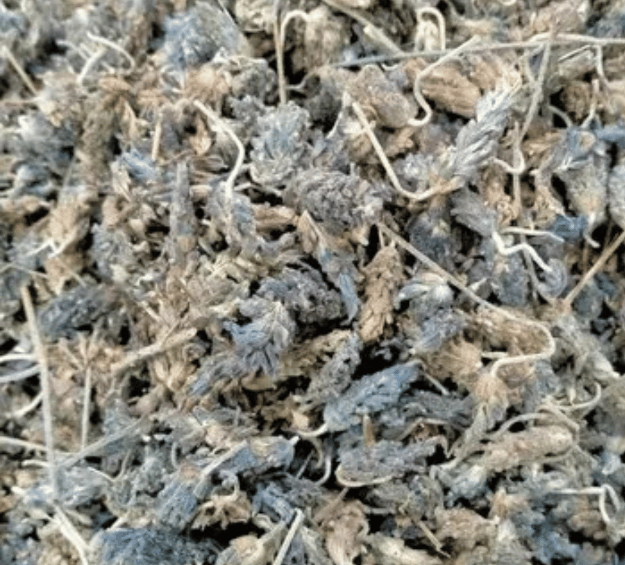 Dry Lavender Flowers Ustekhuddus